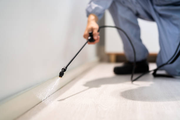 Bed Bug Pre-Treatment Preparation Assessment in Lakeland Village