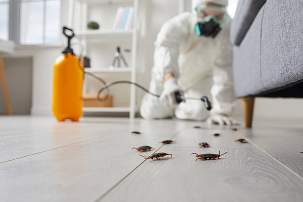 Post-Treatment Bed Bug Interceptor Monitoring in Lakeland Village