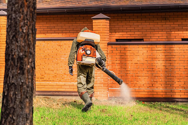 Bed Bug Clearance Verification and Documentation in Lakeland Village